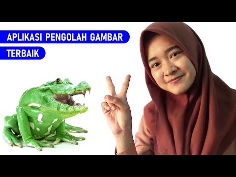 Video: Apa Program Terbaik Untuk Pemrosesan Foto?