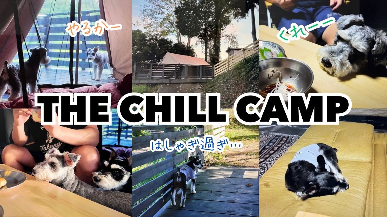 【愛犬とキャンプ】とってもチルなキャンプ場で愛犬と久々のキャンプ行って来ました！【淡路島】THE CHILL CAMP