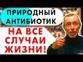 ПРИРОДНЫЙ АНТИБИОТИК НА ВСЕ СЛУЧАИ ЖИЗНИ! Бесплодие, очищение крови, лимфы, грибок, герпес, прополис