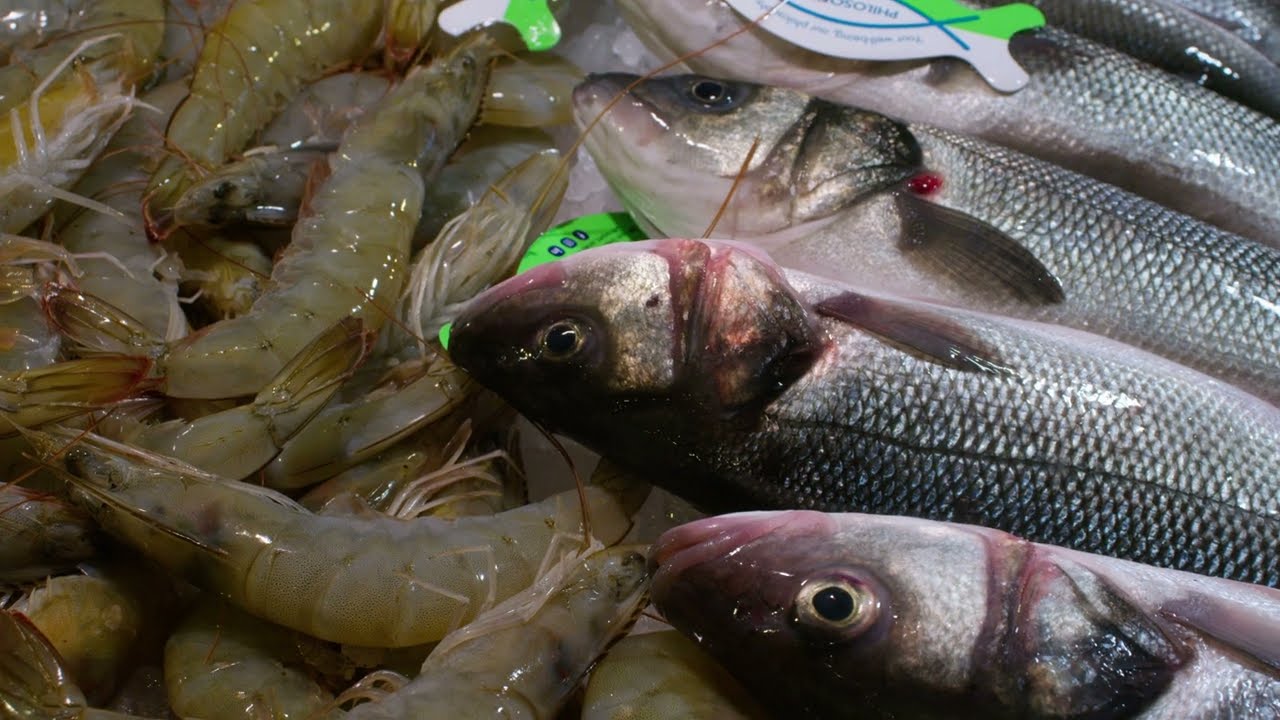 bf 2024 10 25 Venice Fish Market Walk
