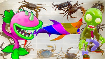 Kem Ốc Chanel và con cua, cây hoa bắn zombie đi săn cá mập, con ve sầu, zombie, cứu đàn chó con.