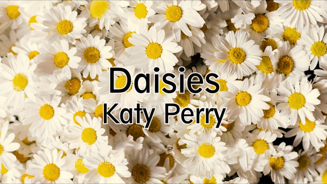 Katy Perry Daisies (Lyric/Letra español) YouTube