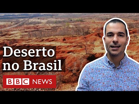 Mudança do clima acelera criação de deserto do tamanho da Inglaterra no Nordeste