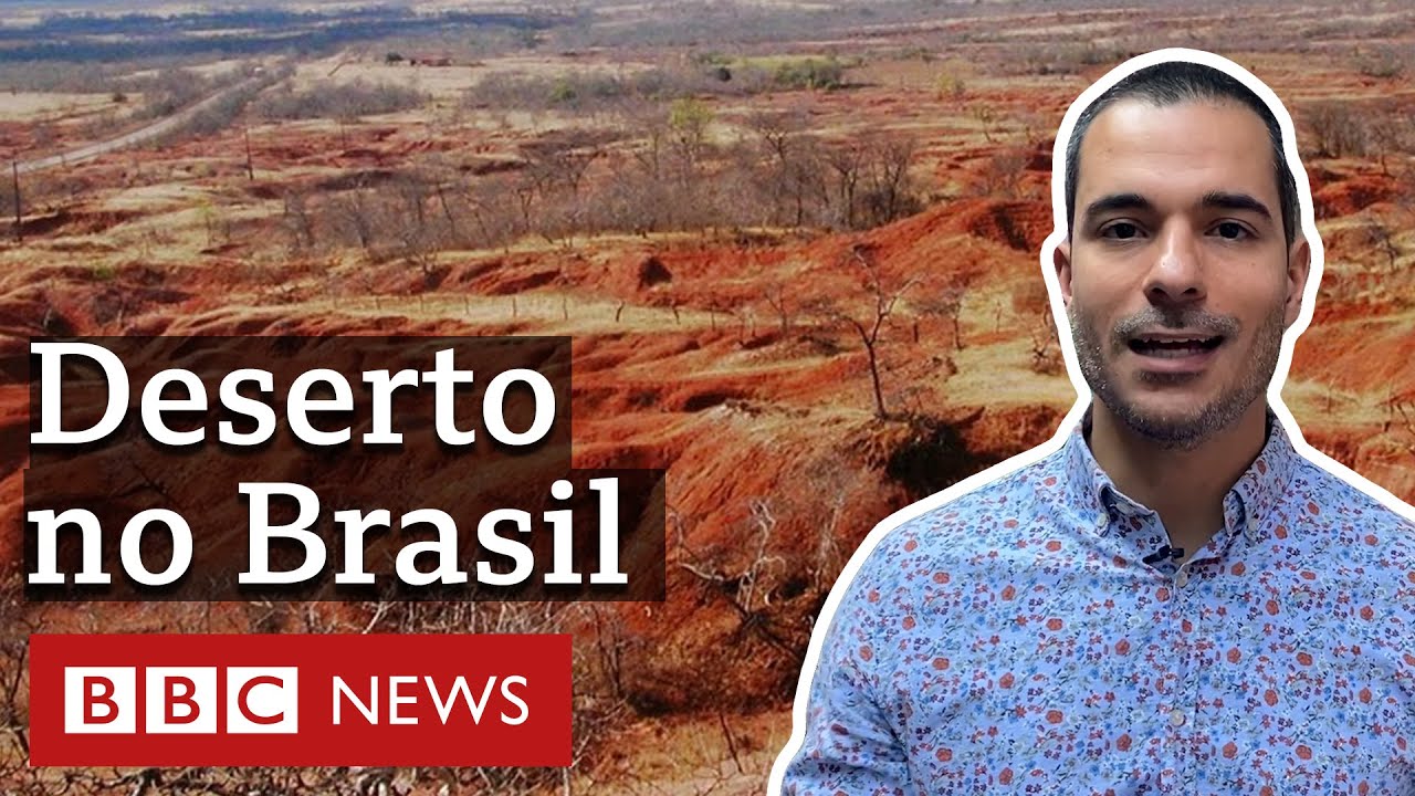 Mudança do clima acelera criação de deserto do tamanho da Inglaterra no Nordeste