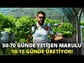 Suda marul yetiştirip, üretim hızını 3 kat artırdı