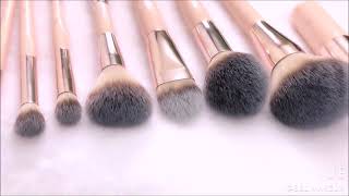 BBL Premium Brushes