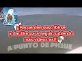 corvina negra gigante en marchi