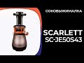 Соковыжималка Scarlett SC-JE50S43