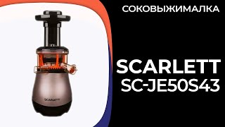 Соковыжималка Scarlett SC-JE50S43