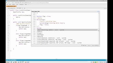salesforce development - apex While Do While Loop
