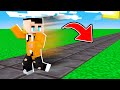 TUTTO QUELLO CHE TOCCO DIVENTA NETHERITE SU MINECRAFT !