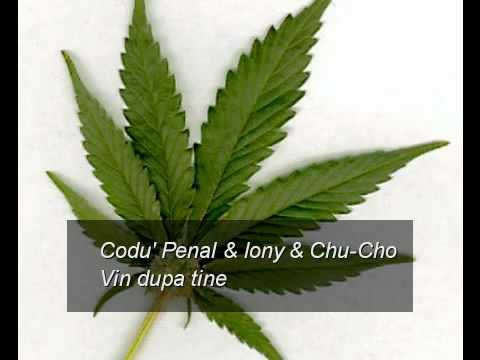 Codu' Penal Iony Chu-Cho - Vin dupa tine - YouTube.flv