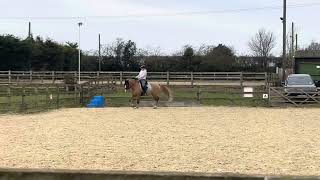 British Dressage Novice 2