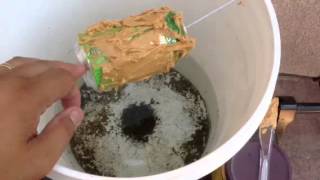 Mouse Rat Trap Bucket