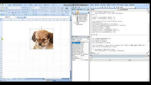 엑셀 VBA 사진 컨트롤