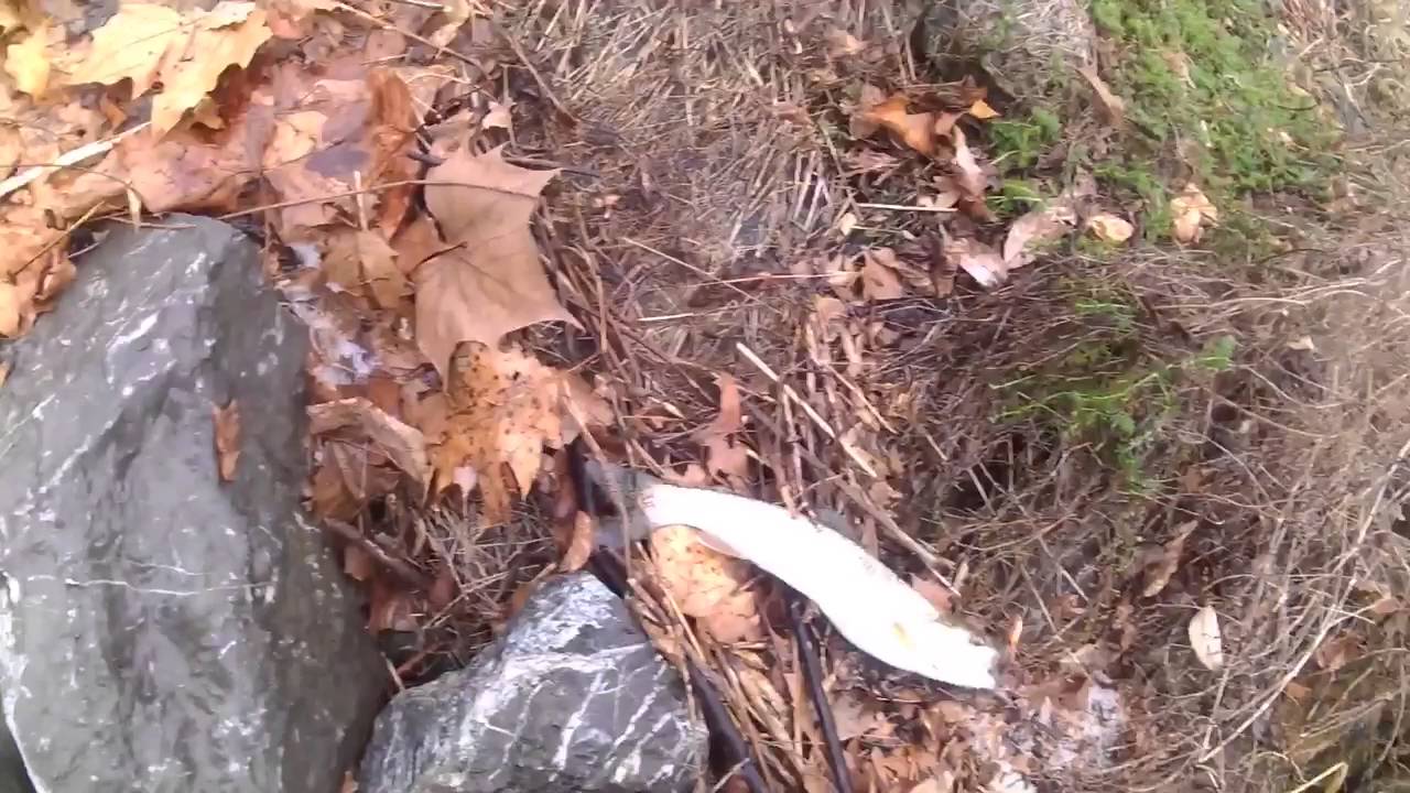 Jackson,River VA Trout Fishing YouTube