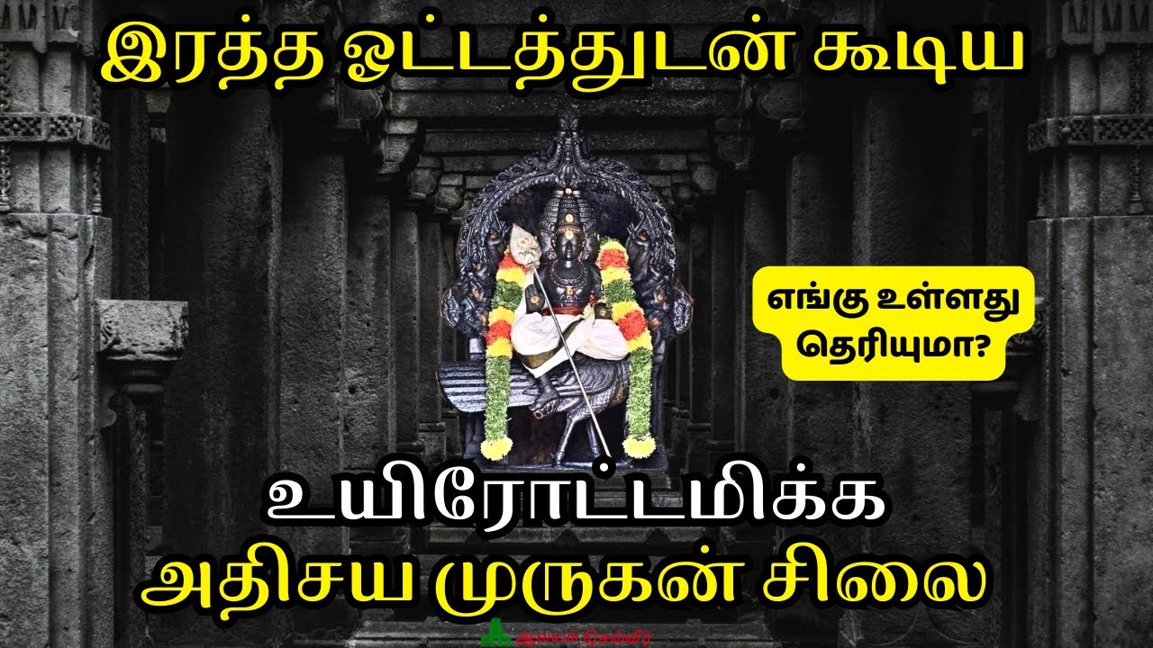 இரத்த ஓட்டத்துடன் கூடிய உயிரோட்டமிக்க முருகன் சிலை எங்கு உள்ளது தெரியுமா? Ettukudi Murugan Temple
