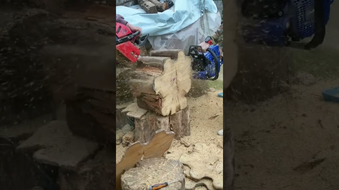 Racing chainsaws YouTube