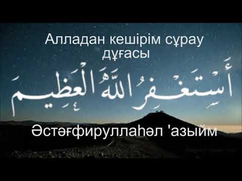 Бейне: Күндізгі лалагүлге арналған серіктес өсімдіктер: бақшаға қандай гүлдер отырғызу керек