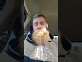 Lawfully_Armed is live!