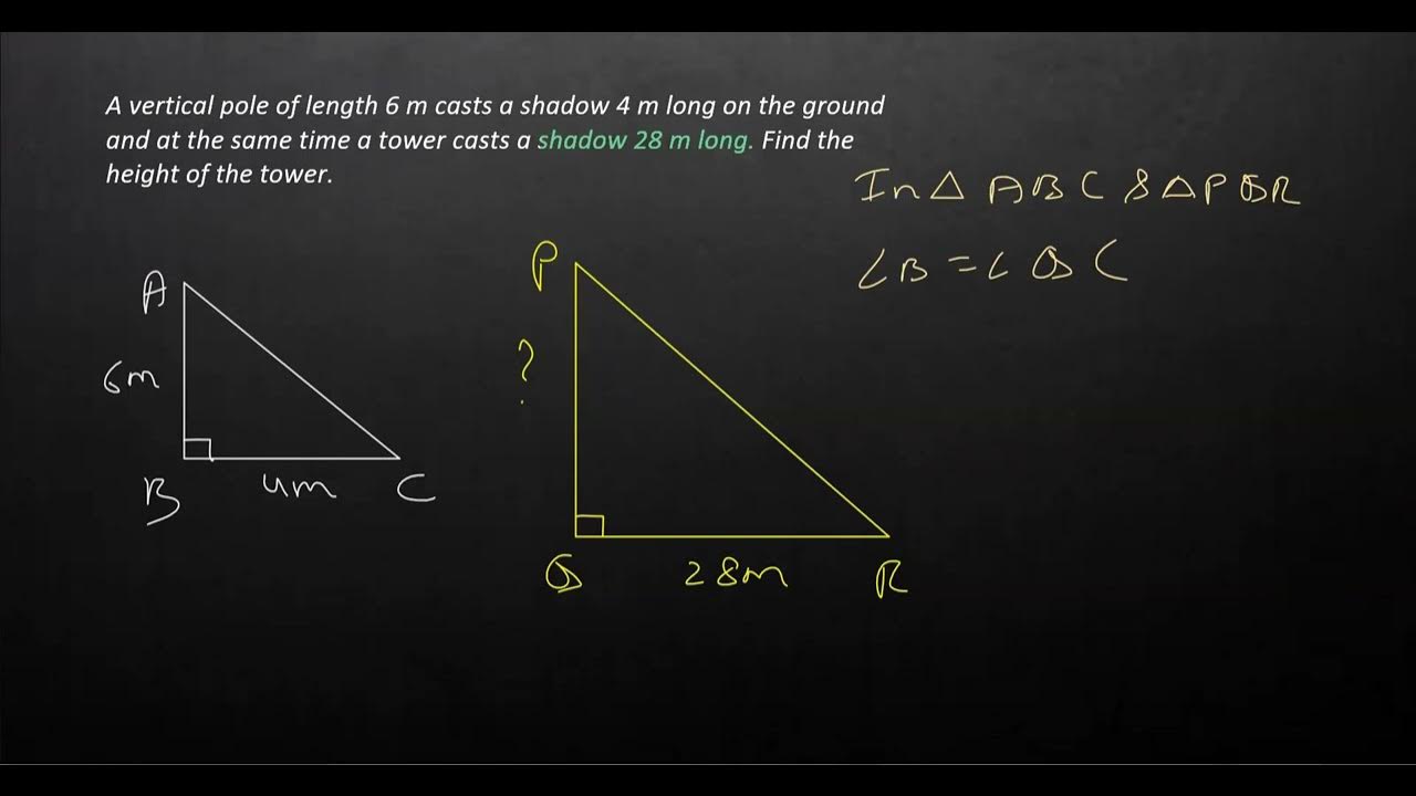 Similar triangles chapter 6 class 10 exercise 6 3 question 15 youtube