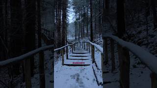 Wandelen in Nederland kan erg mooi zijn, ik neem jullie mee naar de Schoorlse duinen 5.5 KM