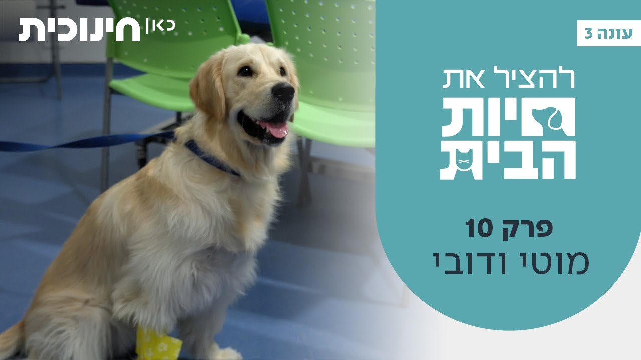 להציל את חיות הבית 3 🐶 | פרק סיום העונה (10) - מוטי ודובי