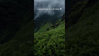 Let Me Clean Your Feed. 🌧️🍃 | Kerala Monsoon Magic 🏔️✨ #shorts #nature #rainsounds #asmrsounds