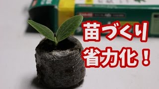 苗作りの省力化　ジフィーセブン