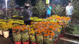 Dạo Quanh chợ hoa TP Thủ Đức xem giá hoa và mua hoa -Chợ hoa tết Việt Nam