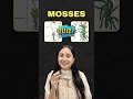 Can you answer these Qs. about Mosses? | MOSSES QUIZ #neet #neet2026 #quiz #neetbiology #study #yt