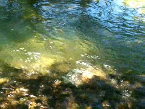 აბედათი.მდინარე სკურჩა.2016,01