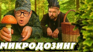 ЖИЗНЬ ПОД МУХАМОРАМИ / МИКРОДОЗИНГ
