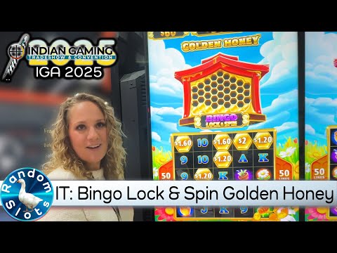 IT, Bingo Lock & Spin Golden Honey, #IGA2025 a