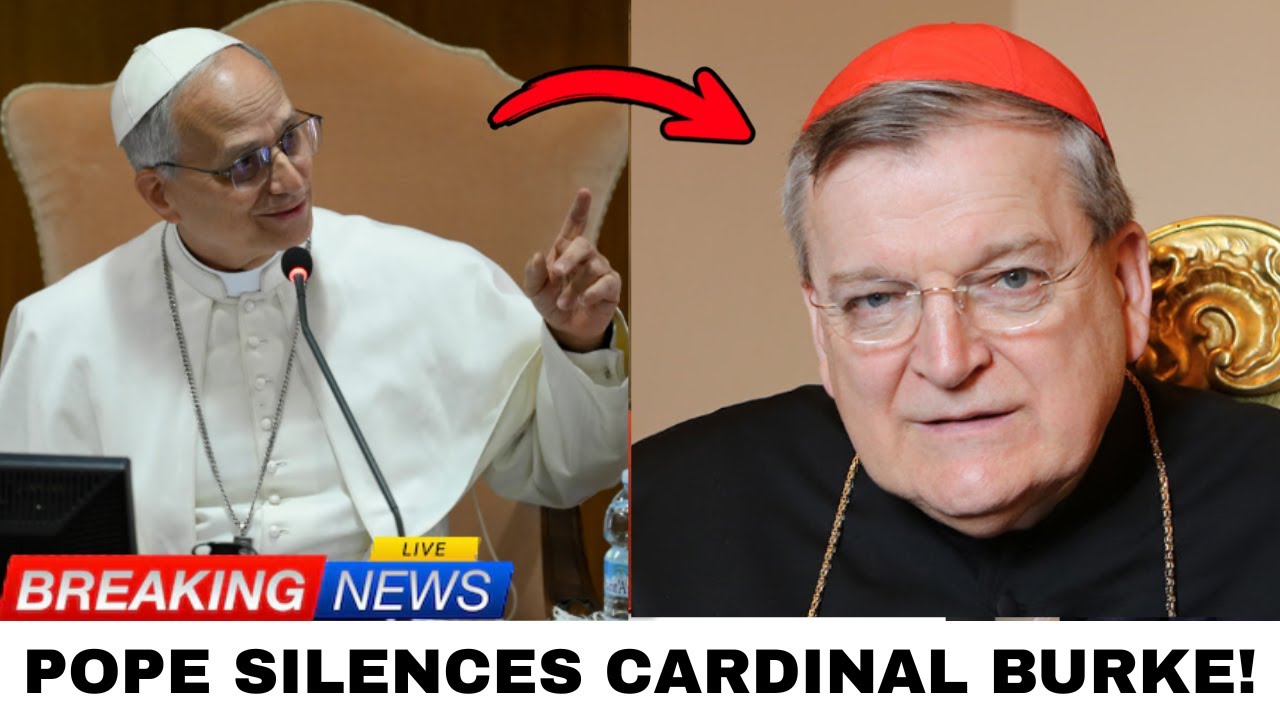 Pope Leo XIV SILENCES Cardinal Burke After He REVEALED This About FATIMA—Vatican in CHAOS!