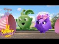 SUNNY BUNNIES - Popcorn Frenzy | Season 5 | Cartoons for Children