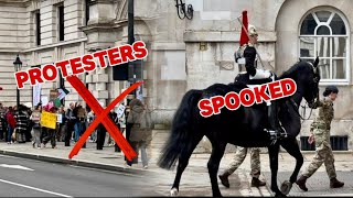 PROTESTERS, But sadly, horse SPOOKED AGAIN!