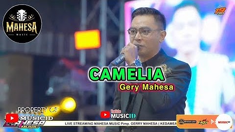 CAMELIA - GERY MAHESA || MAHESA MUSIC LIVE PESTA RAKYAT TUMAPEL 2025