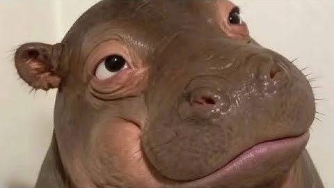 ngục quần à sao lợi dụng bão lụt để kê khống vậy