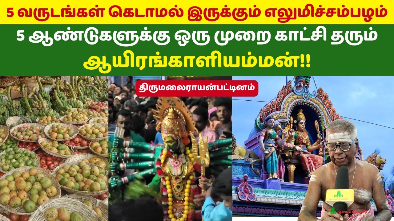 5 ஆண்டுகளுக்கு ஒரு முறை காட்சி தரும் ஆயிரங்காளியம்மன்!! Aayiram Kaliamman Tirumalairayan Pattinam