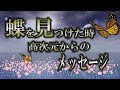 【高波動】蝶を見た時 何かを伝えに舞い降りてきた存在【スピリチュアル】