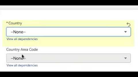 Auto populate dependent Picklist value (Required field) demo: Controlling and Dependent Pick list