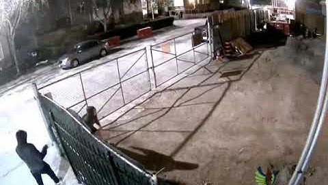 Live Patrol- Best Video Monitoring Company
