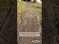 Tree Trimming Without Ruining the Yard | Why We Use Ground Protection Mats