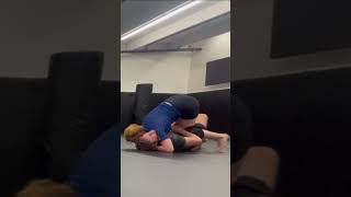 Nogi Half Guard Sweep