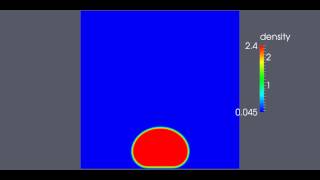 Bubble sedimentation under gravity: hydrophobic