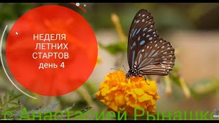 #летниестарты_с_рынашко Детский комбинезон для мальчика День 4.