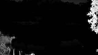 Florida Pond Night Sounds — Crickets and Nature Ambience for Sleep (2.5 Hours)