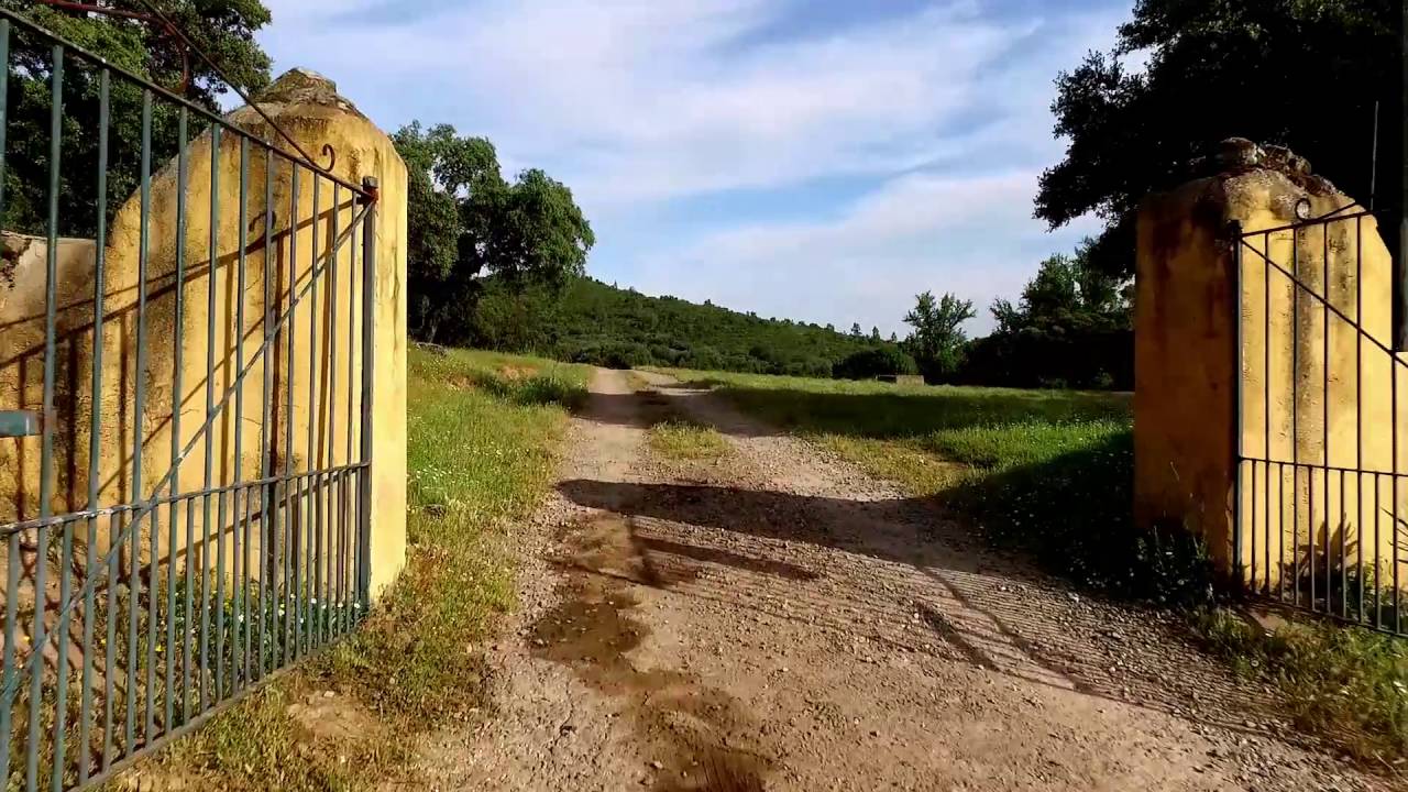 Finca Banega Aracena Travel