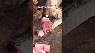 SheelaFishCutting #fishcutting #chennaiseafood #fish #kasimedu #sheelafishcutting #lifeisbutadream